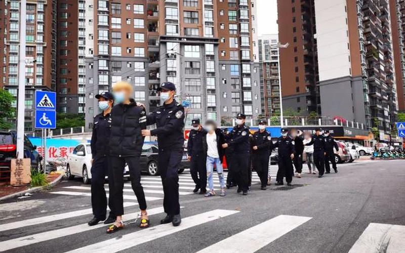 匪组词-匪组肆虐，警方出击，全国警戒升级-第1张图片-万福百科