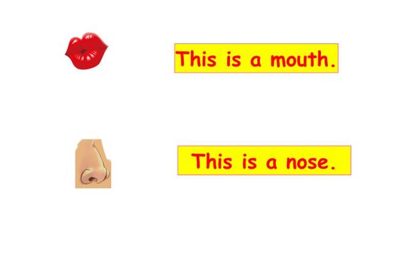 nose怎么读,MOUTH的正确发音是什么？-第1张图片-万福百科