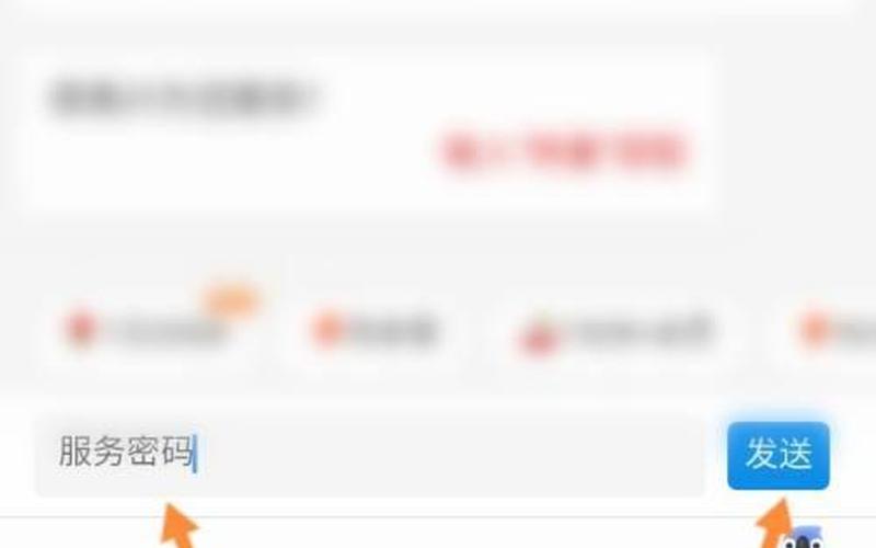 服务密码怎么查(服务密码查询攻略：轻松掌握密码核实 *** )-第1张图片-万福百科