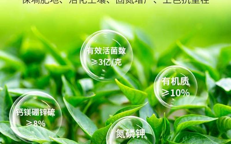 草莓专用肥料：提升产量的秘密武器-第1张图片-万福百科