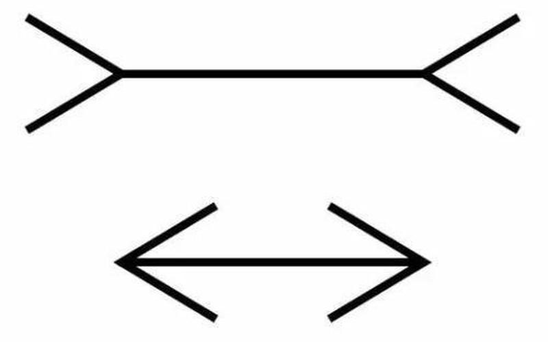 贾斯特罗错觉 贾斯特罗错觉：超越视觉的幻境-第1张图片-万福百科
