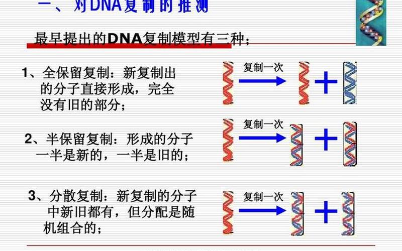 dna复制方向-DNA复制方向中心的探究-第1张图片-万福百科