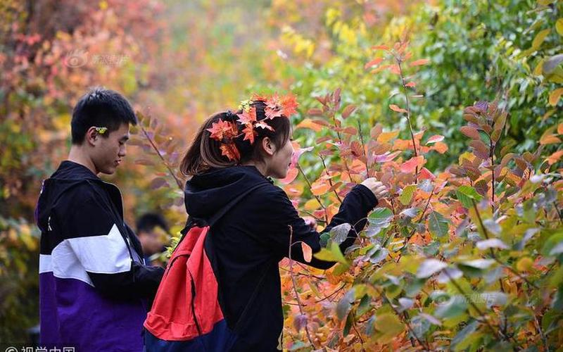 复古康耐阳药(复古康耐阳药：重拾健康之道)-第1张图片-万福百科