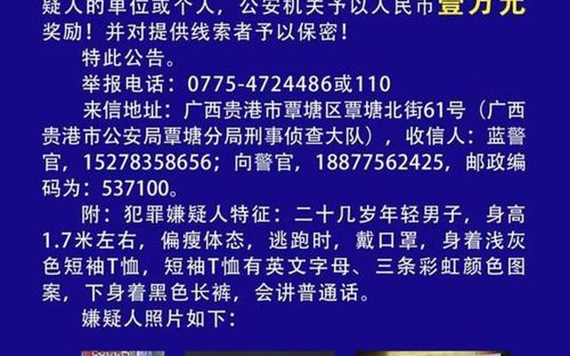 红色通缉令名单：悬赏追捕犯罪嫌疑人-第1张图片-万福百科