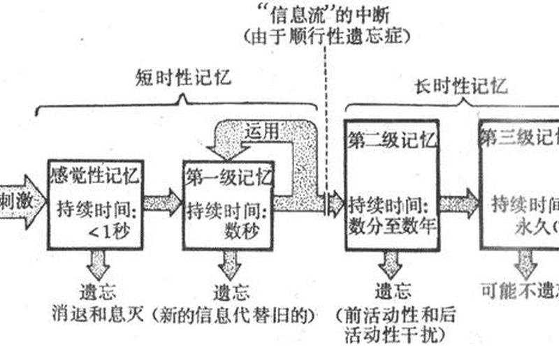 memory意思差不多的词,记忆与遗忘：人类大脑如何存储和忘却信息？-第1张图片-万福百科