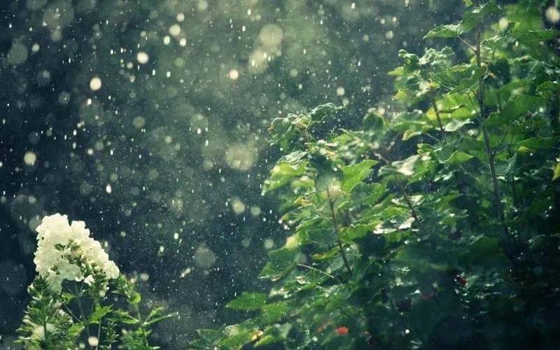 出门风雨百愁生啥意思 出门遇雨，百愁生-第1张图片-万福百科