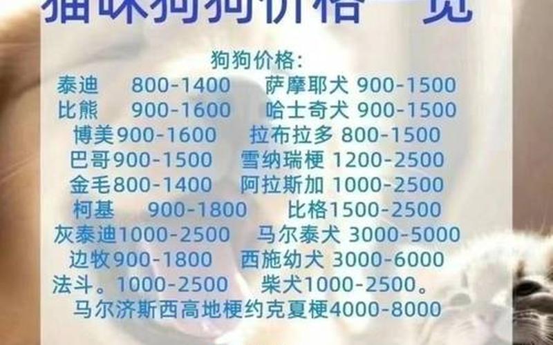 成都宠物论坛网-成都宠物论坛：共享宠物知识、交流经验、寻找伙伴-第1张图片-万福百科