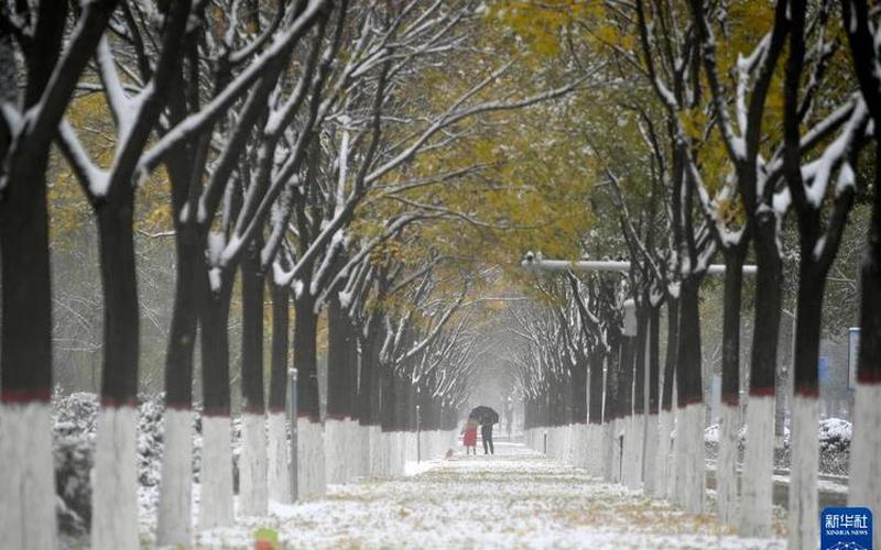 河南迎来降雪，市民纷纷走出家门欣赏雪景-第1张图片-万福百科