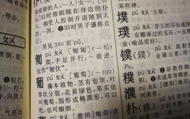 尝查字典的部首是什么 部首解密：探秘汉字的奥秘-第1张图片-万福百科