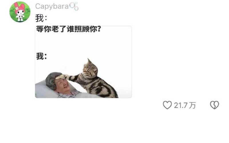 男子猫粮诱小猫摔砸-第1张图片-万福百科