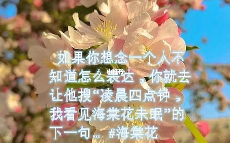 海棠花未眠下一句-第1张图片-万福百科