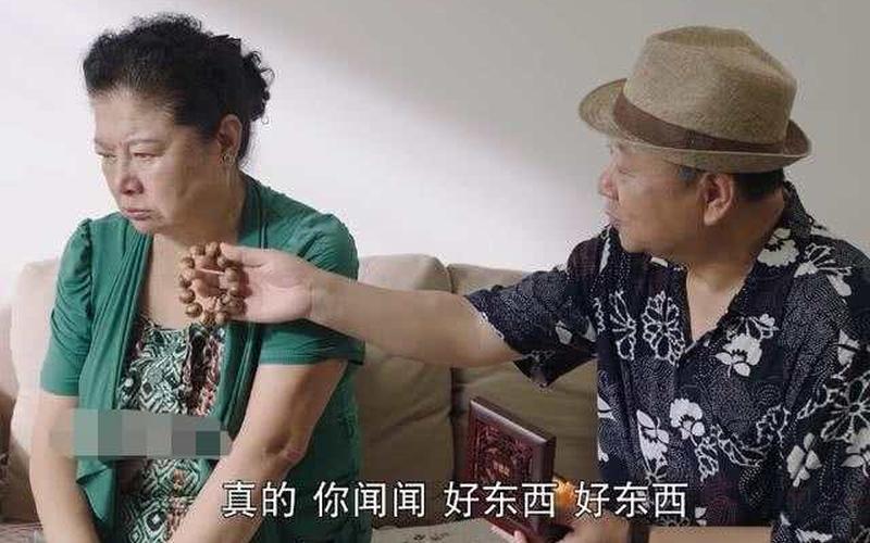 刘老根3药匣子第几集出来-第1张图片-万福百科