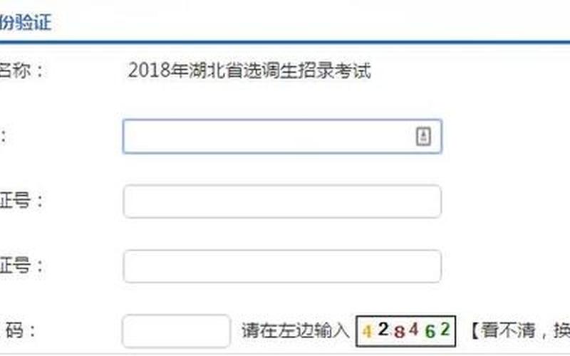 湖北省八省联考成绩查询入口-第1张图片-万福百科