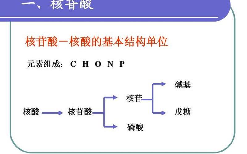 核酸与核苷酸的区别-第1张图片-万福百科