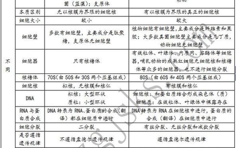 原核细胞和真核细胞的区别-第1张图片-万福百科