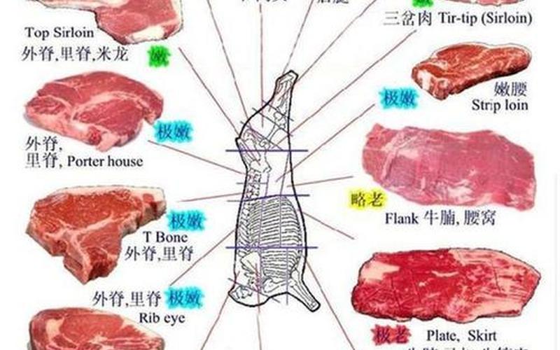 肥牛是牛的哪个部位-第1张图片-万福百科