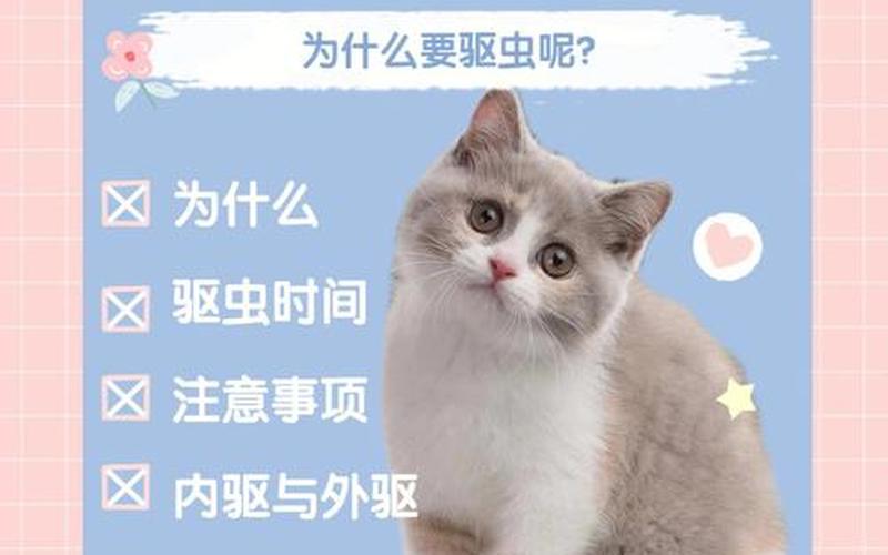 猫咪什么时候可以驱虫-第1张图片-万福百科