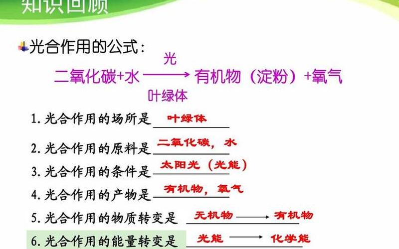 同气是指什么关系-第1张图片-万福百科